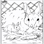 Kreativitet - Connect the Dots rabbit