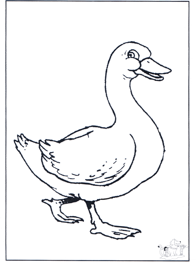 Baby goose - Fargeleggingstegning dyr