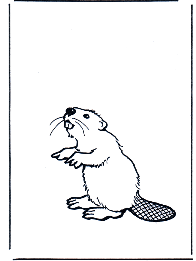 Beaver - Fargeleggingstegninger gnagerdyr