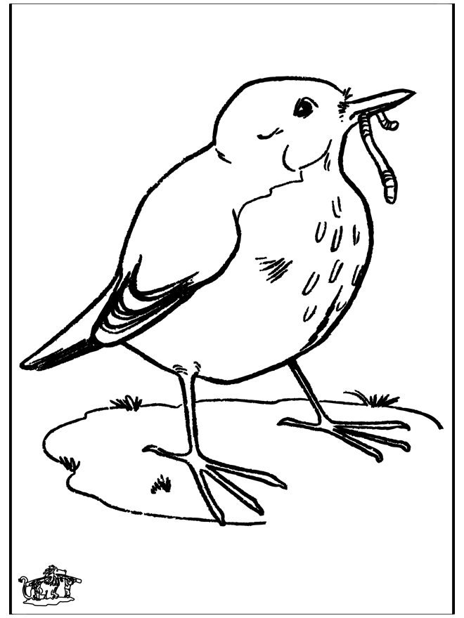 Blackbird - Fargeleggingstegninger fugler