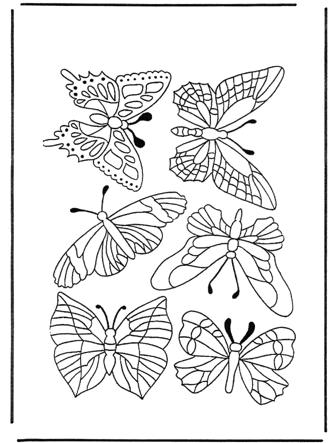 Butterflies 1 - Fargeleggingstegning insekter