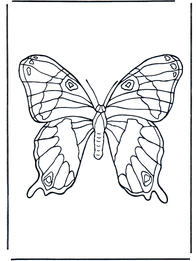 Butterfly 1 - Fargeleggingstegning insekter