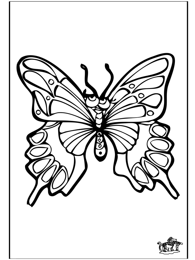 Butterfly 4 - Fargeleggingstegning insekter