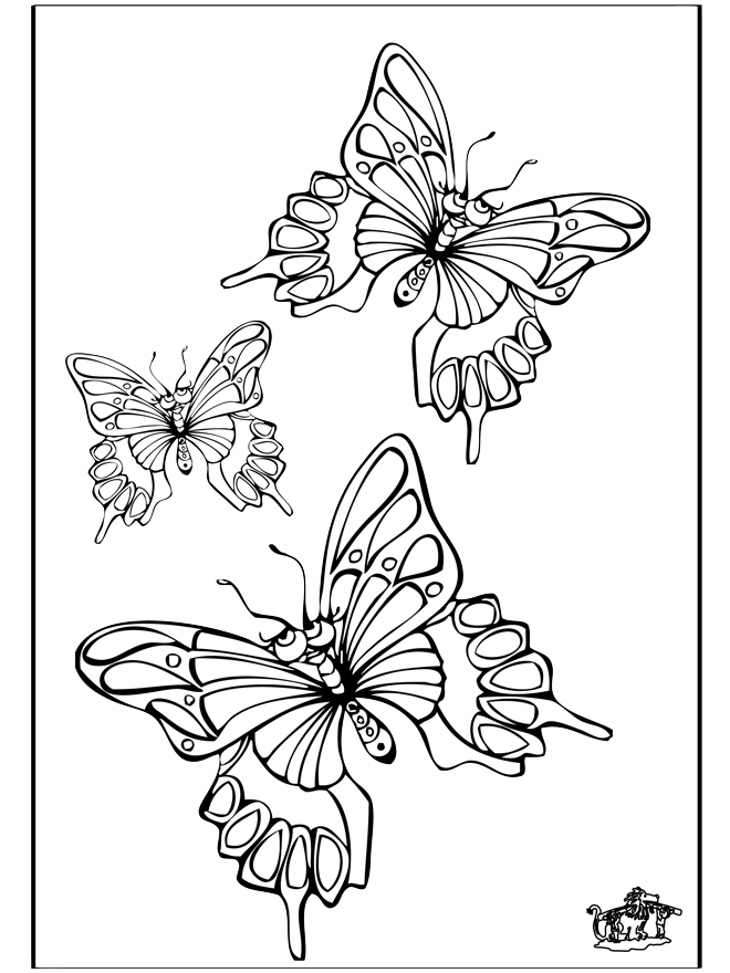 Butterfly 5 - Fargeleggingstegning insekter