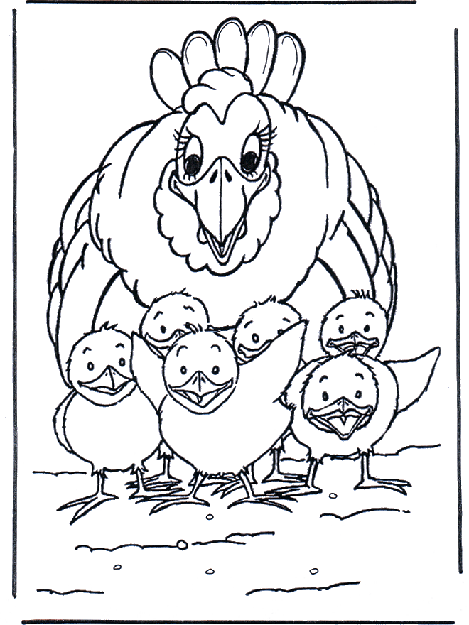 Chicken and little chicks - Husdyr og gårdsdyr