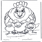 Dyr - Chicken and little chicks