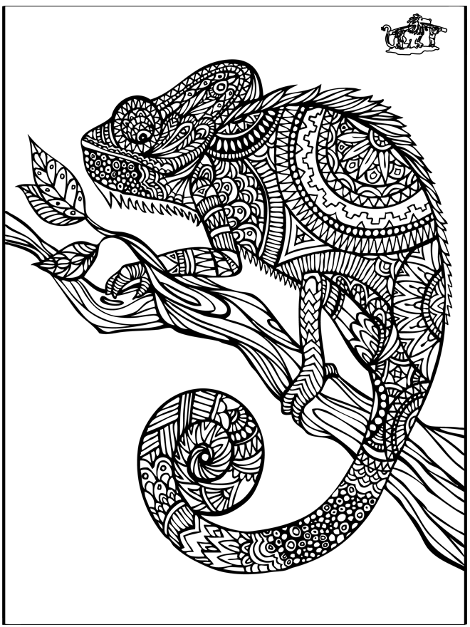 Coloring for adults 15 - 