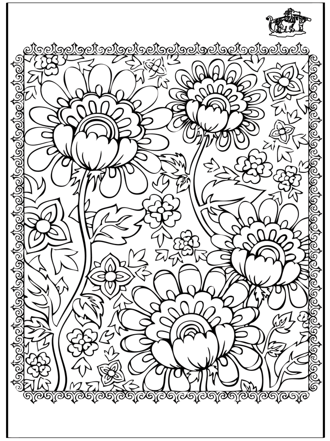 Coloring for adults 3 - 