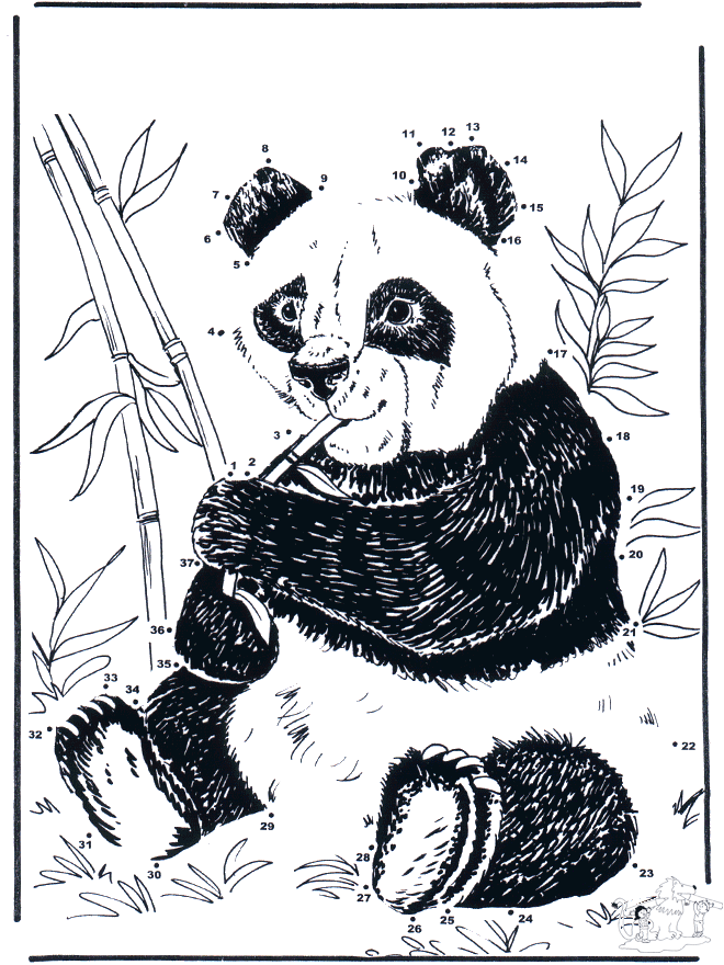 Connect the Dots - giant panda - Siffertegning