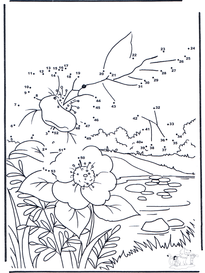 Connect the Dots - nature - Siffertegning