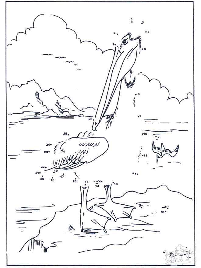 Connect the Dots - Pelican - Siffertegning