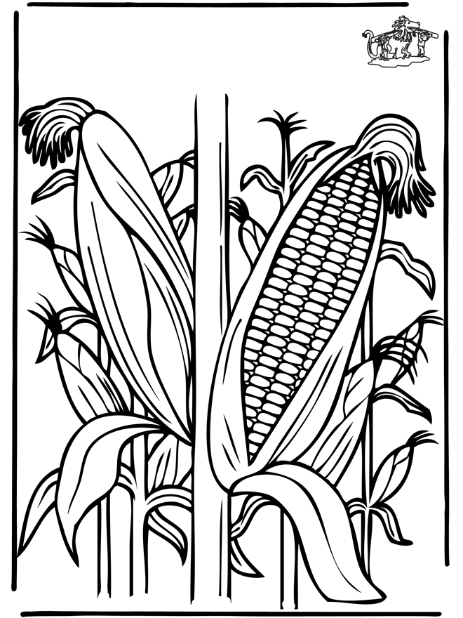 Corn - Fargeleggingstegninger planter