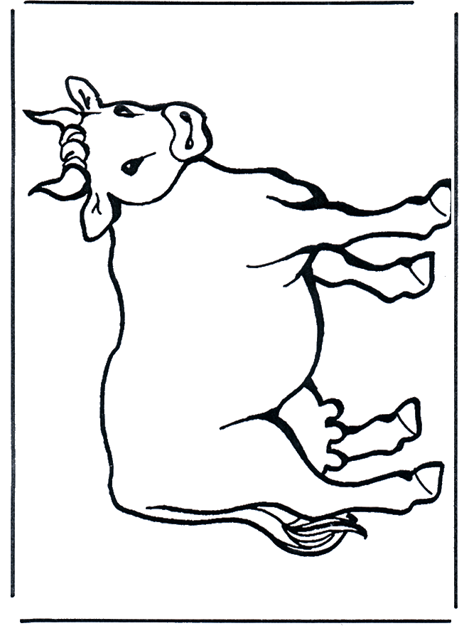 Cow 2 - Husdyr og gårdsdyr