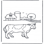 Dyr - Cow on farm
