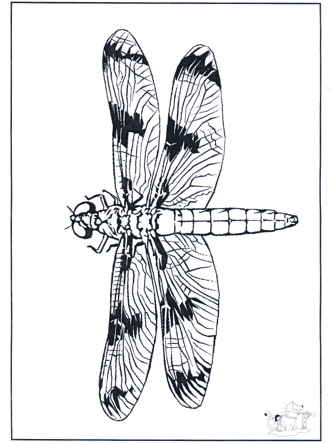 Dragon-fly 2 - Fargeleggingstegning insekter