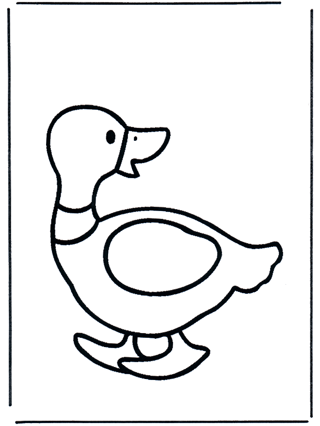 Duck 2 - Fargeleggingstegninger fugler
