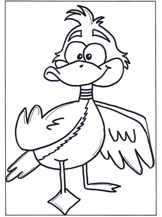 Duck 3 - Fargeleggingstegninger fugler
