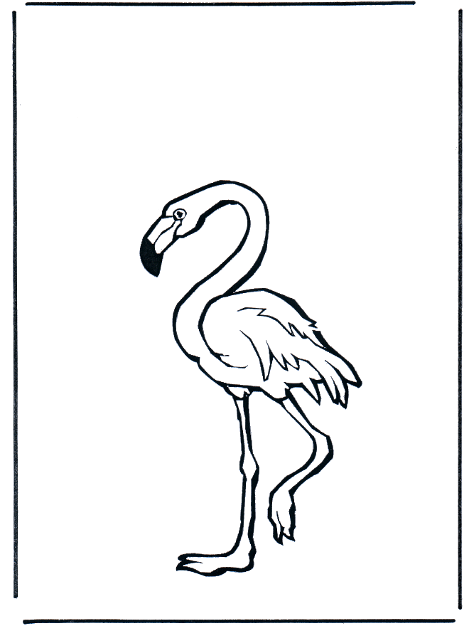 Flamingo - Fargeleggingstegninger fugler