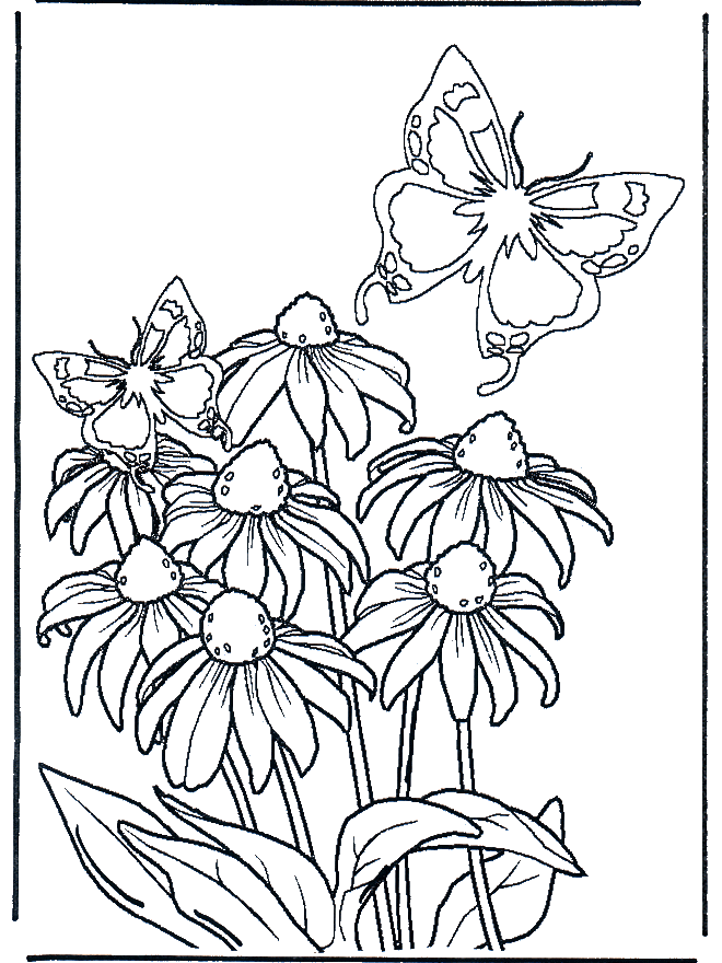 Flower 6 - Fargeleggingstegninger blomster