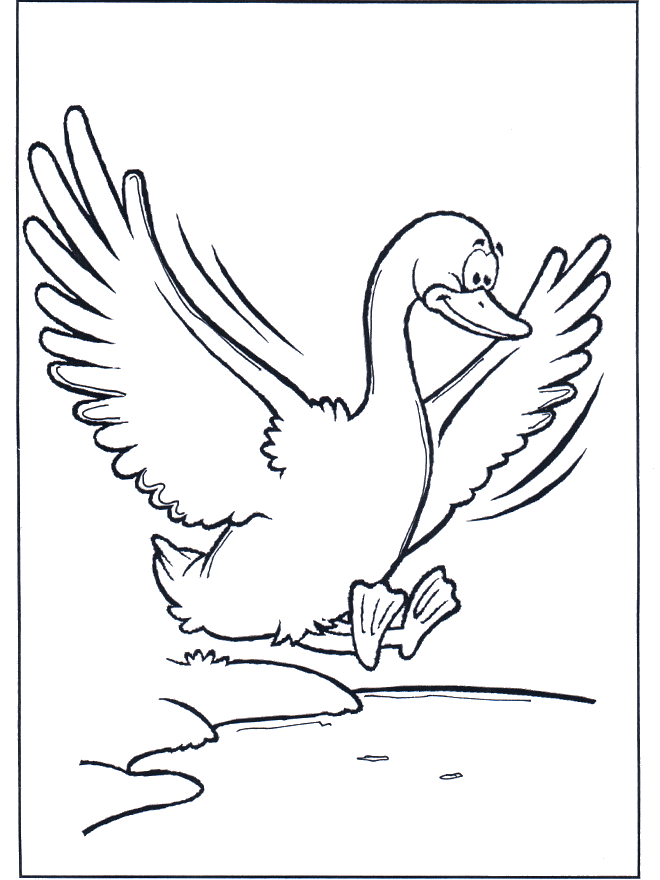 Flying goose - Fargeleggingstegninger fugler