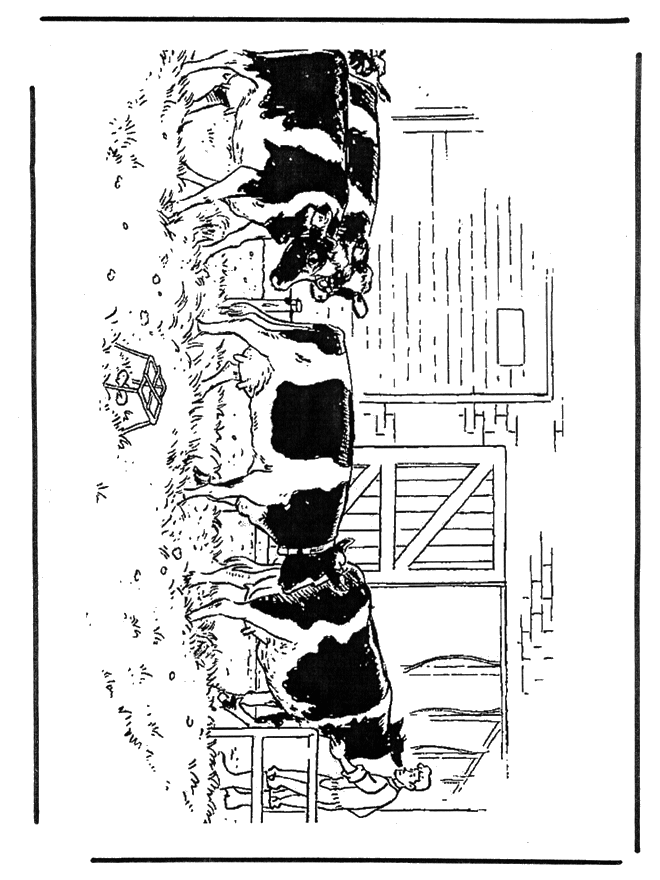 Free coloring pages cows - Husdyr og gårdsdyr