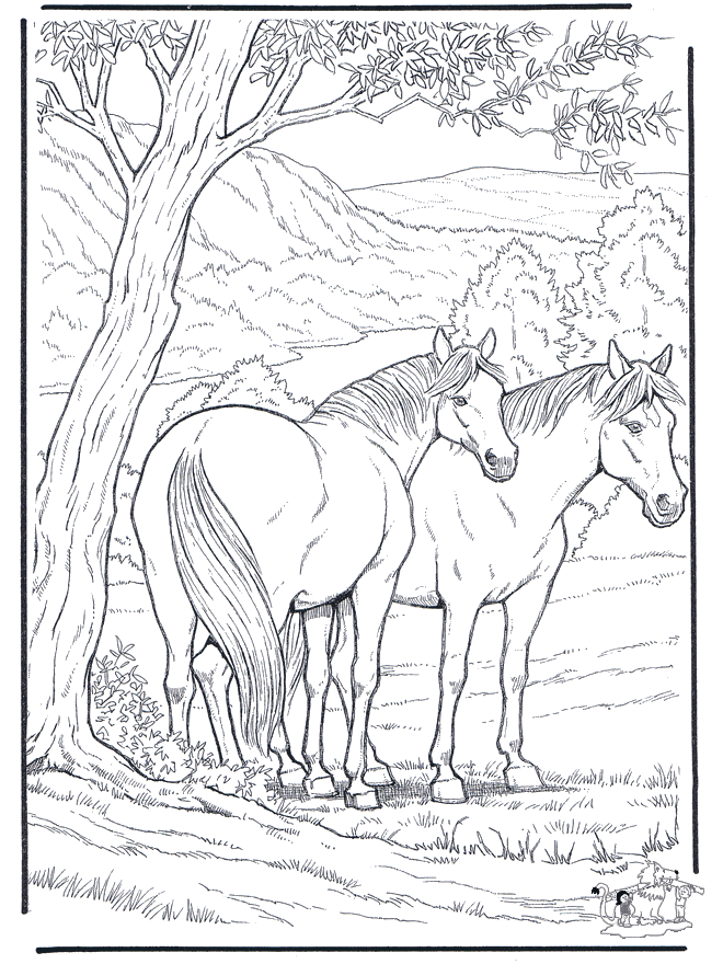 Free coloring pages horse - Fargeleggingstegninger hester