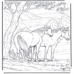 Dyr - Free coloring pages horse