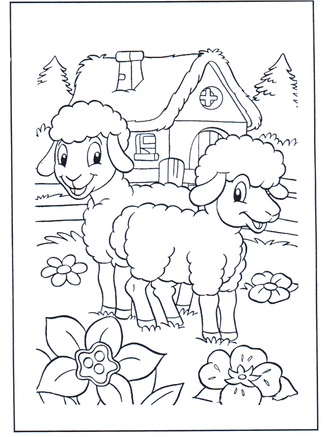 Happy sheep - Fargeleggingstegning dyr
