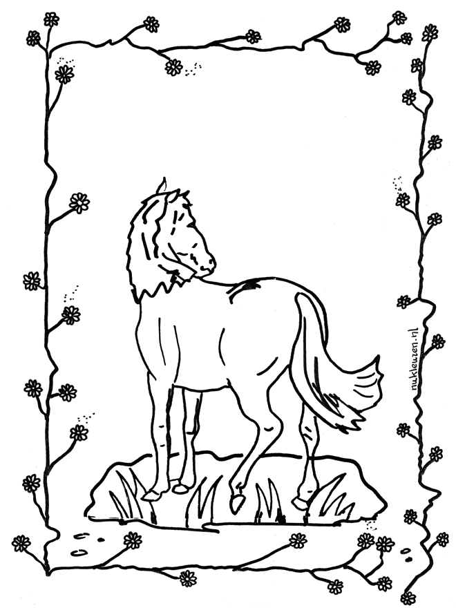 Horse 2 - Fargeleggingstegninger hester