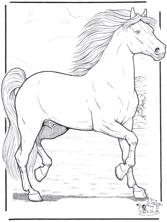 Horse 3 - Fargeleggingstegninger hester