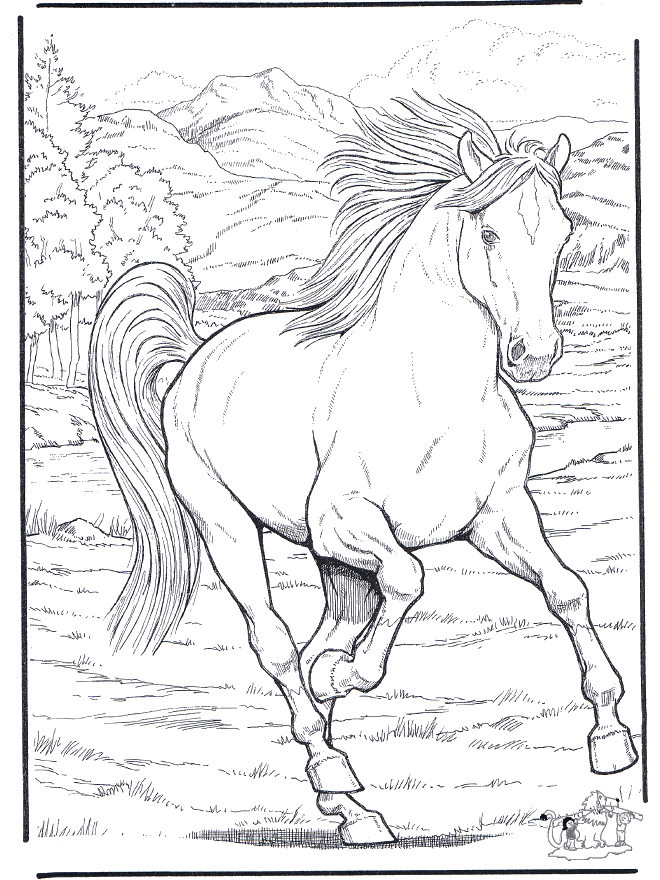 Horse 4 - Fargeleggingstegninger hester
