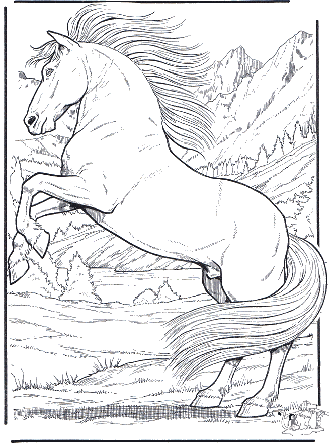 Horse 5 - Fargeleggingstegninger hester