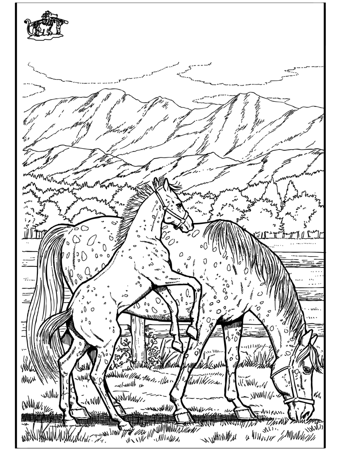 Horse 6 - Fargeleggingstegninger hester