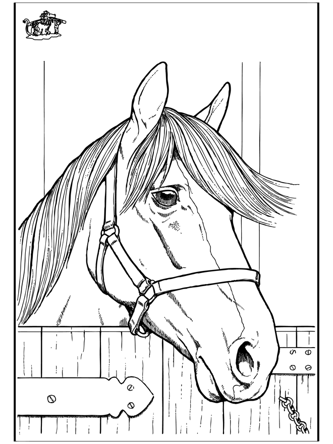 Horse 7 - Fargeleggingstegninger hester