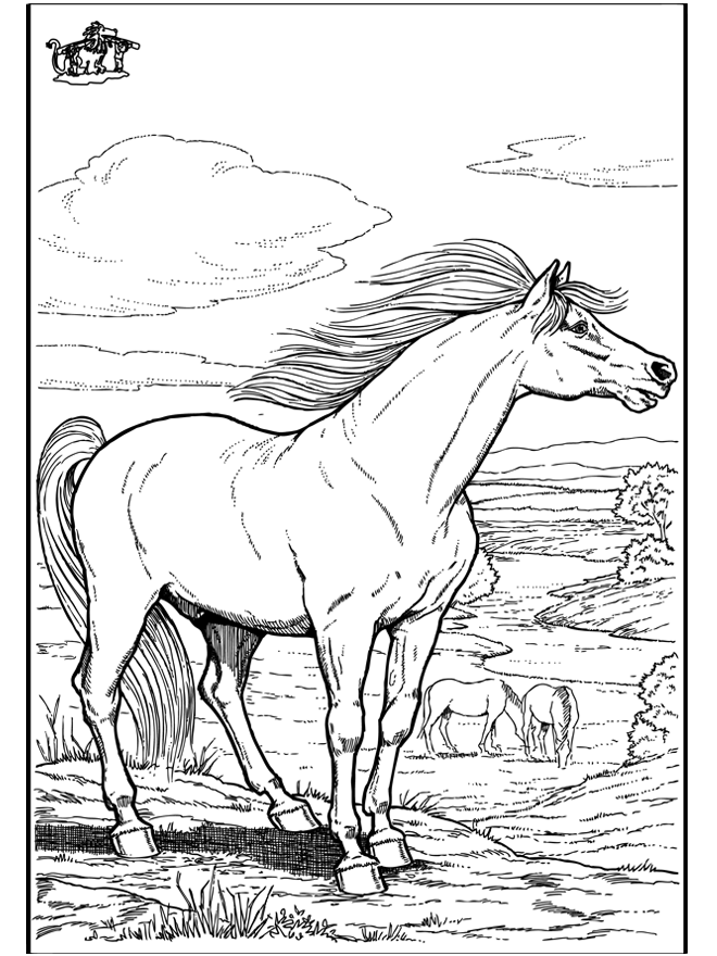 Horse 9 - Fargeleggingstegninger hester