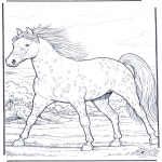 Dyr - Horse gallop at full