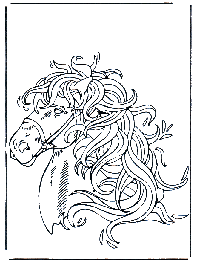 Horse head 1 - Fargeleggingstegninger hester