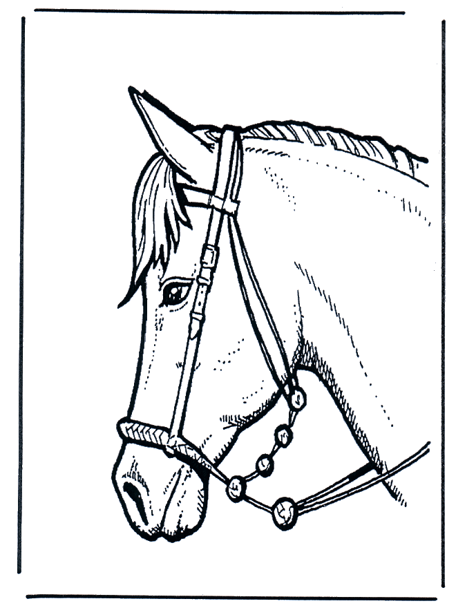 Horse head 2 - Fargeleggingstegninger hester