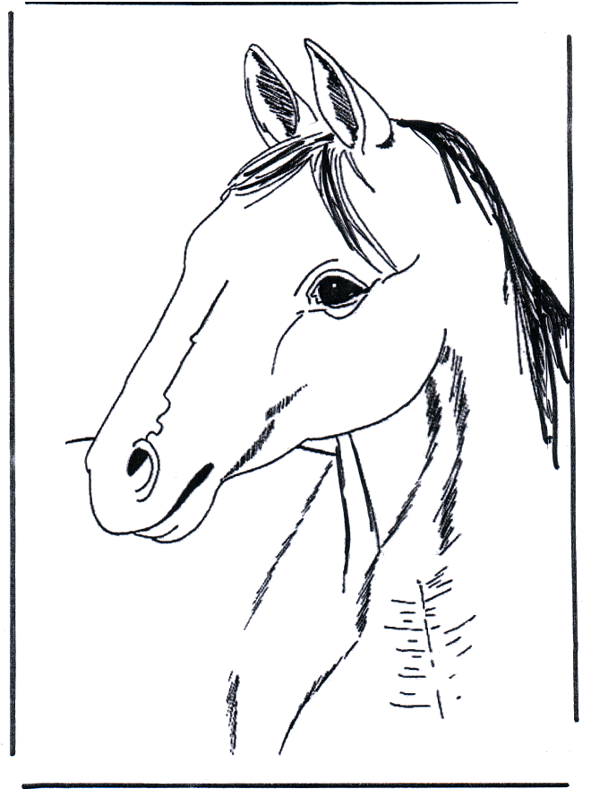 Horse head 3 - Fargeleggingstegninger hester