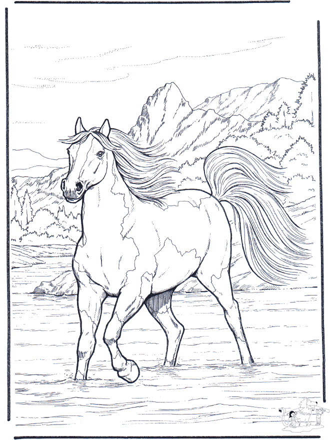 Horse in the river - Fargeleggingstegninger hester