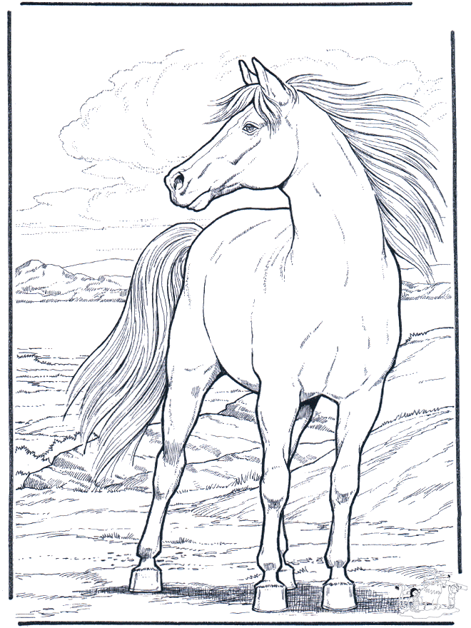 Horse in the wind - Fargeleggingstegninger hester