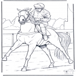 Dyr - Jockey on horse