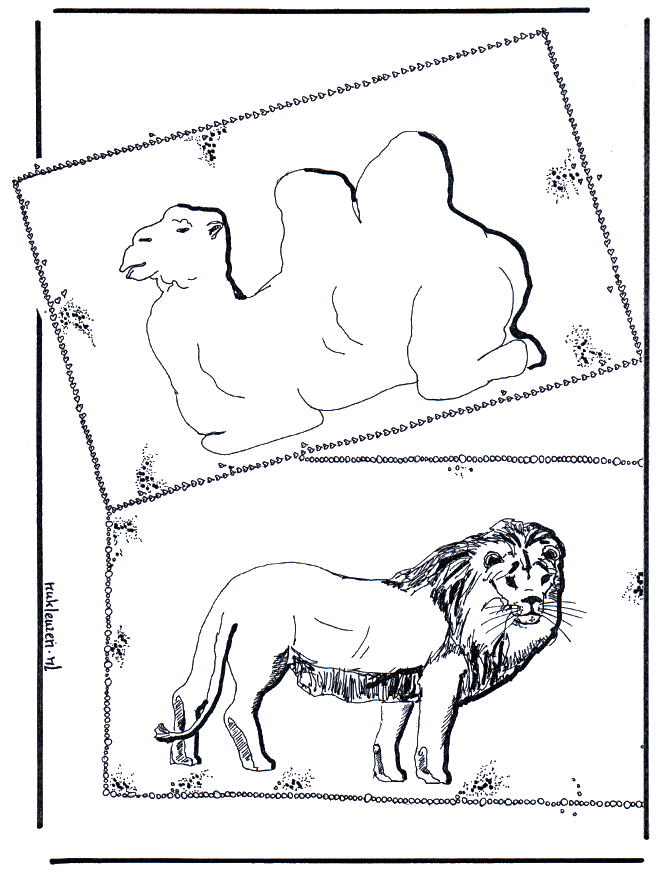 Kamel and lion - Fargeleggingstegninger dyrehage