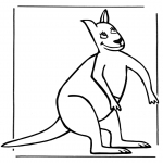 Dyr - Kangaroo 3