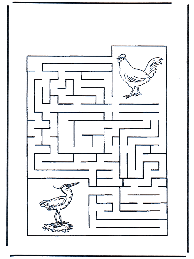 Labyrinth birds - Labyrint