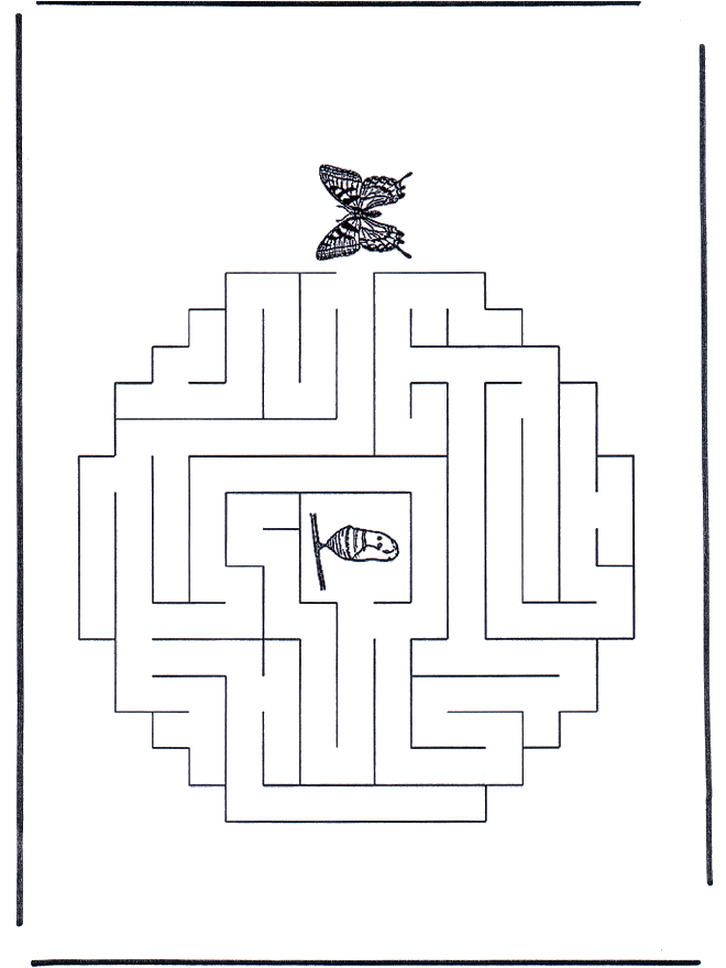 Labyrinth butterfly - Labyrint