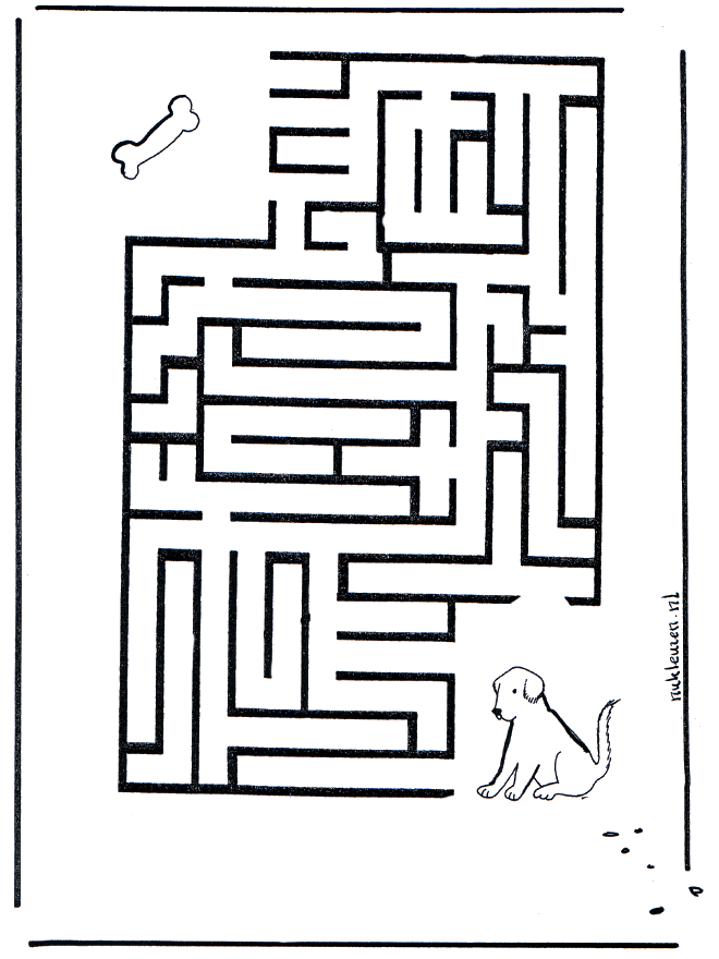 Labyrinth dog - Labyrint