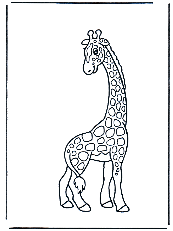 Little giraffe - Fargeleggingstegning dyr