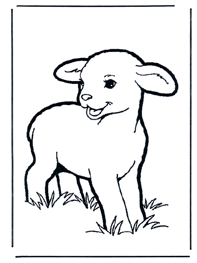 Little lamb 1 - Husdyr og gårdsdyr