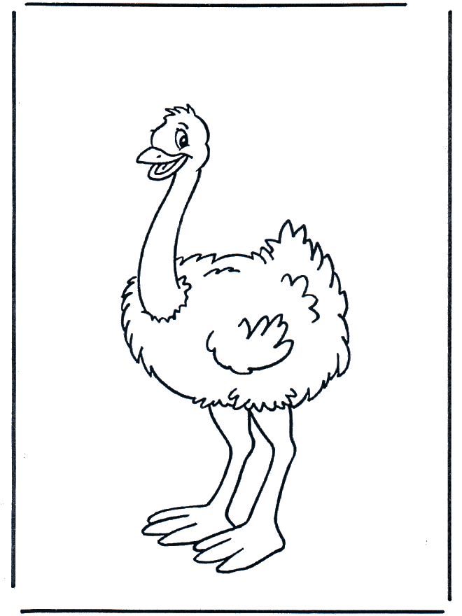 Little ostrich - Fargeleggingstegning dyr
